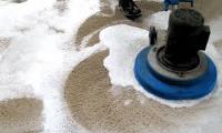 Turner Carpet Cleaning Services image 5